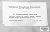 Image Associated With the Occurence